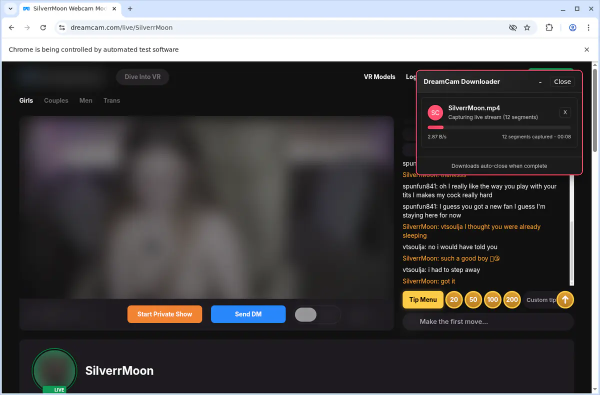 Dreamcam Video Downloader browser extension screenshot 2